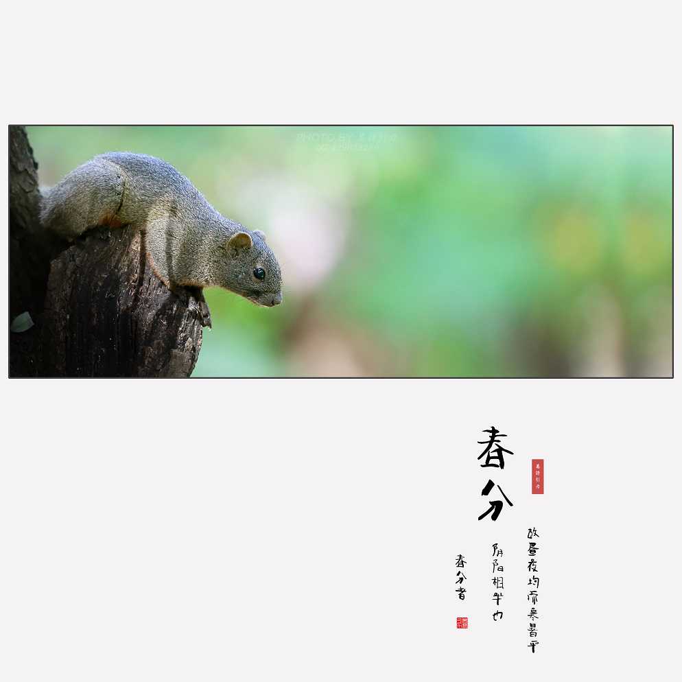 #ZOL月赛-微笑# 春分... ...