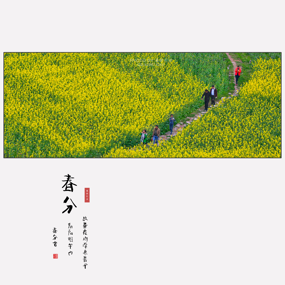 #ZOL月赛-微笑# 春分... ...