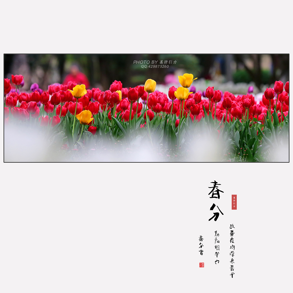 #ZOL月赛-微笑# 春分... ...