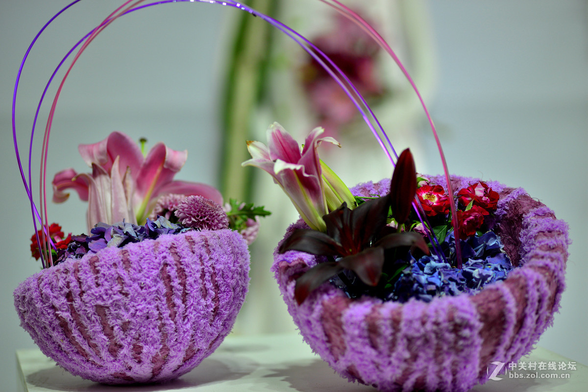 凌源首届百合节蔡司百微试镜，室内光线不够，手持拍摄，有损百微形象之嫌。