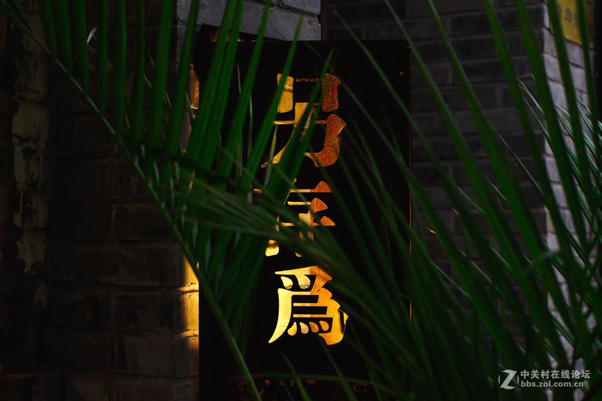 用135相机玩中画幅镜头：宾得K70转接宾得645 smc 45mm f2.8中画幅镜头试镜