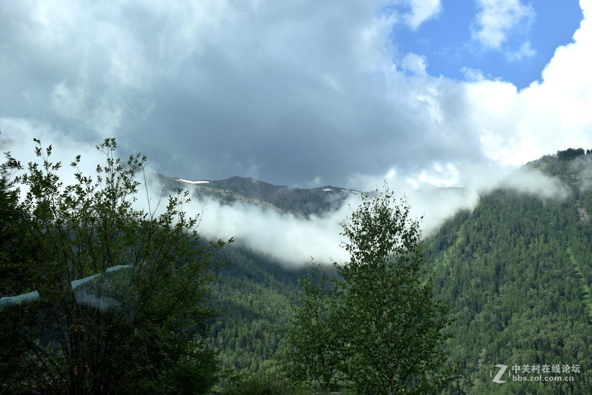 2017夏 长沙到喀什（69）喀纳斯