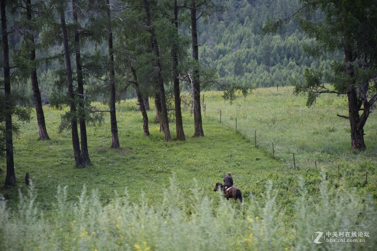 2017夏 长沙到喀什（69）喀纳斯