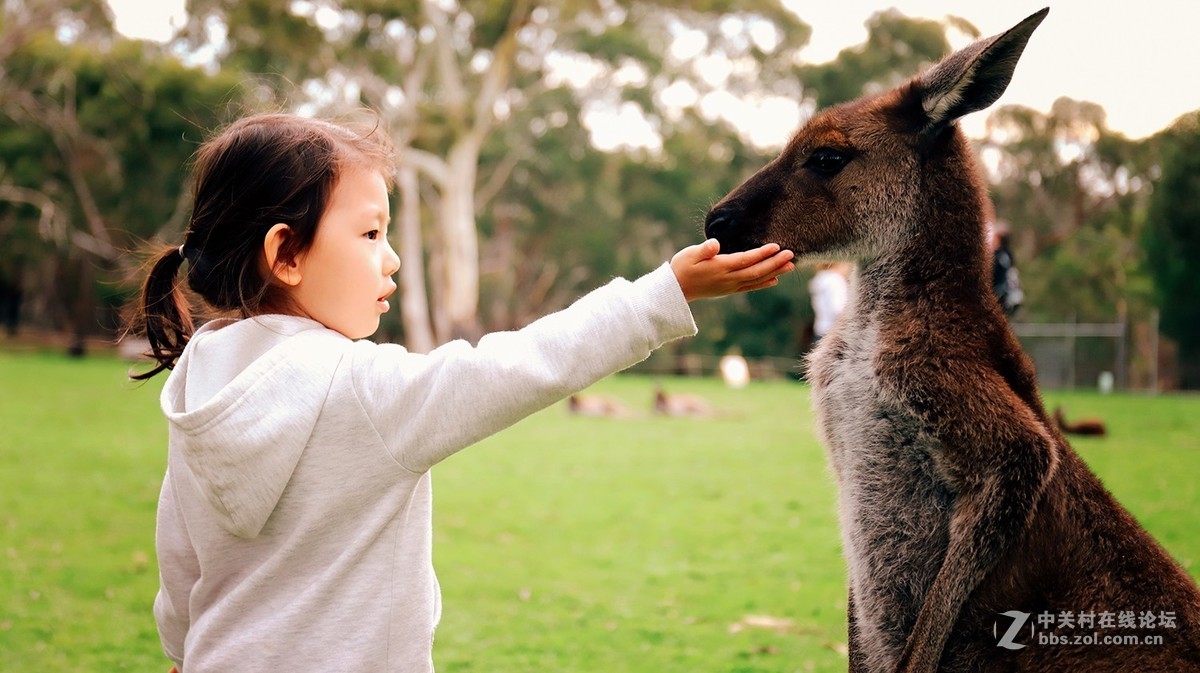 #佳能6D Mark II 记录感动# 成长的小确幸