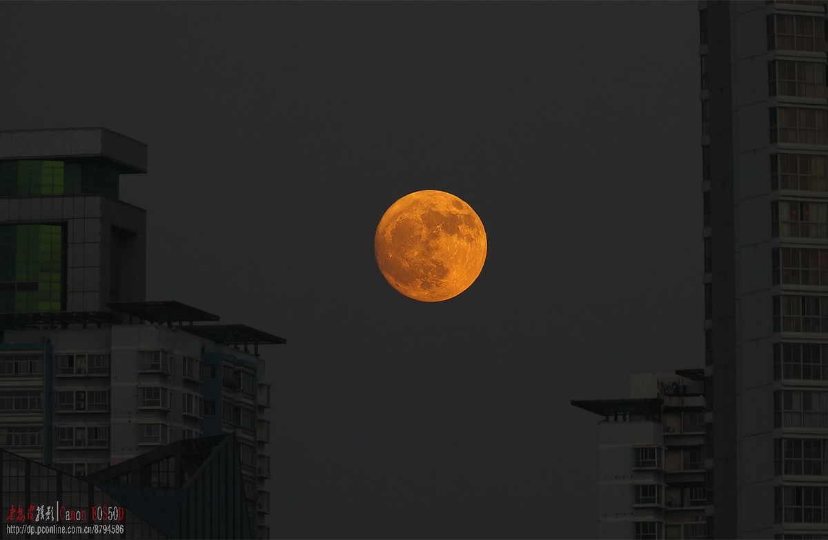 月儿圆圆挂楼头