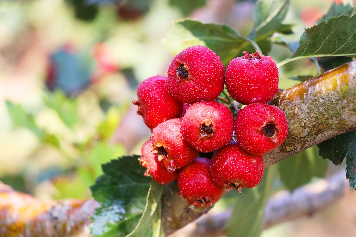 新手试机，请多指教