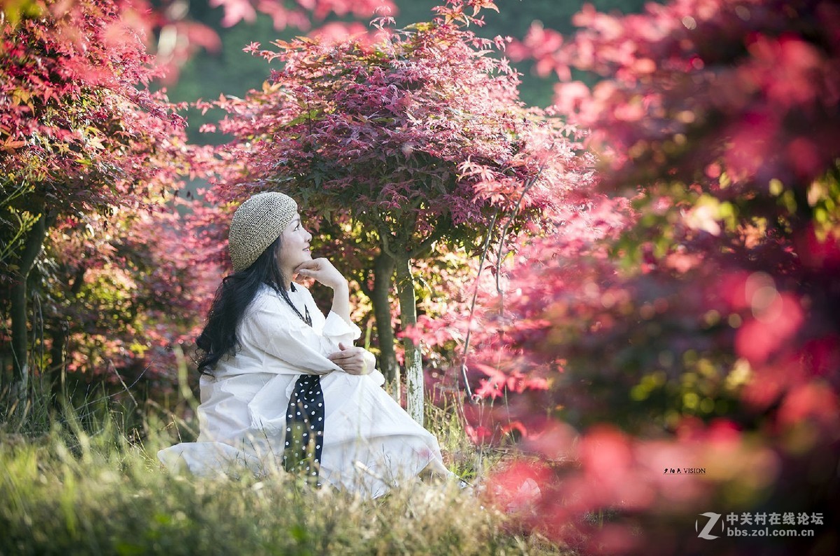 我的2018摄影告白