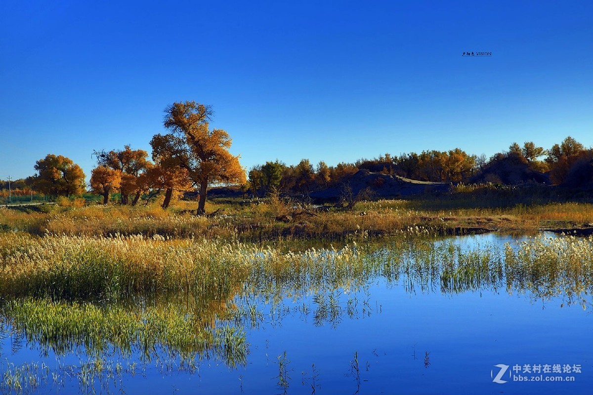 我的2018摄影告白