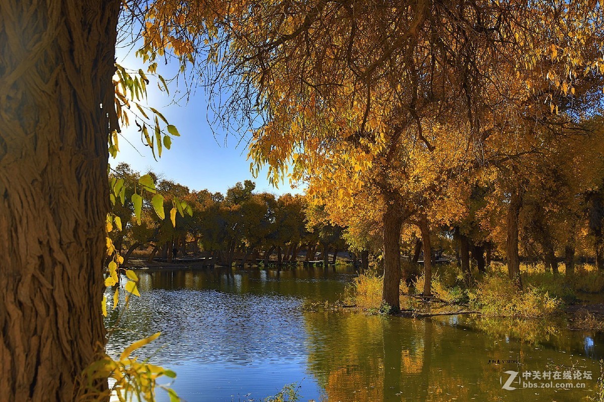 我的2018摄影告白