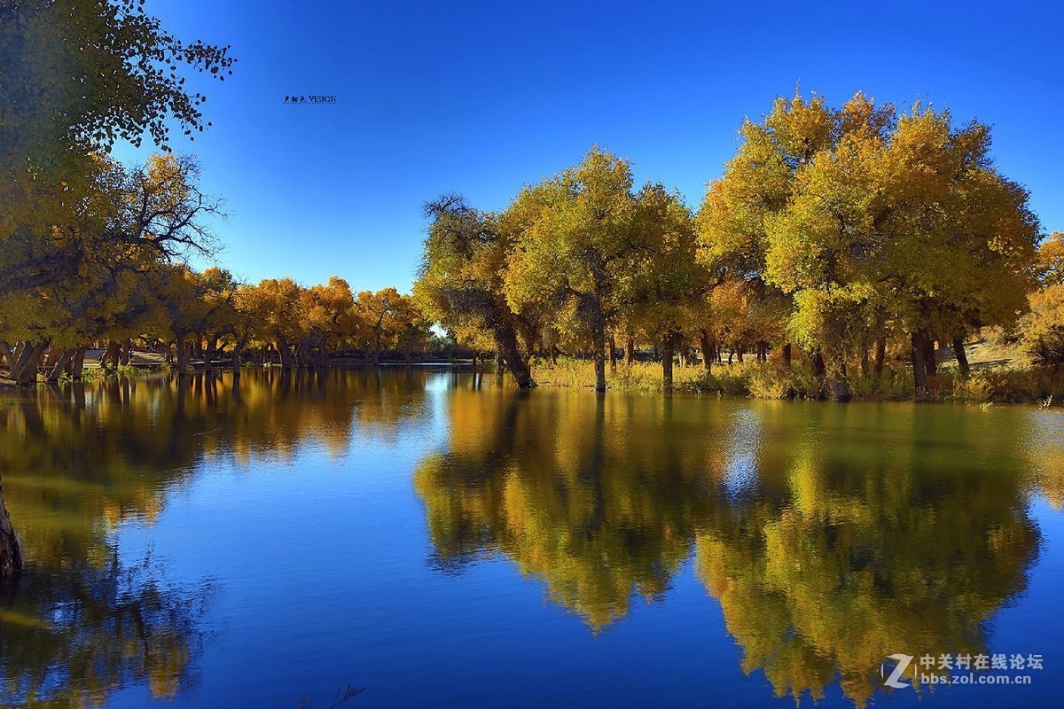 我的2018摄影告白