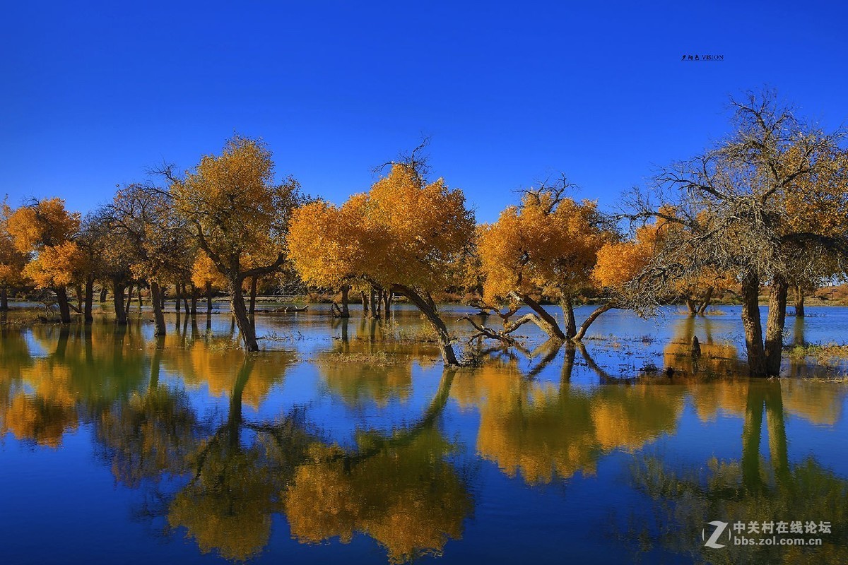 我的2018摄影告白