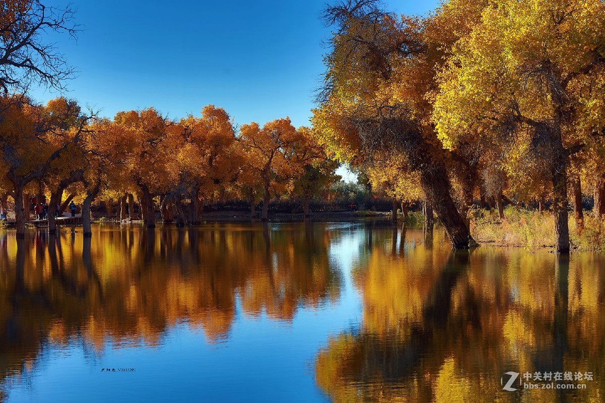 我的2018摄影告白