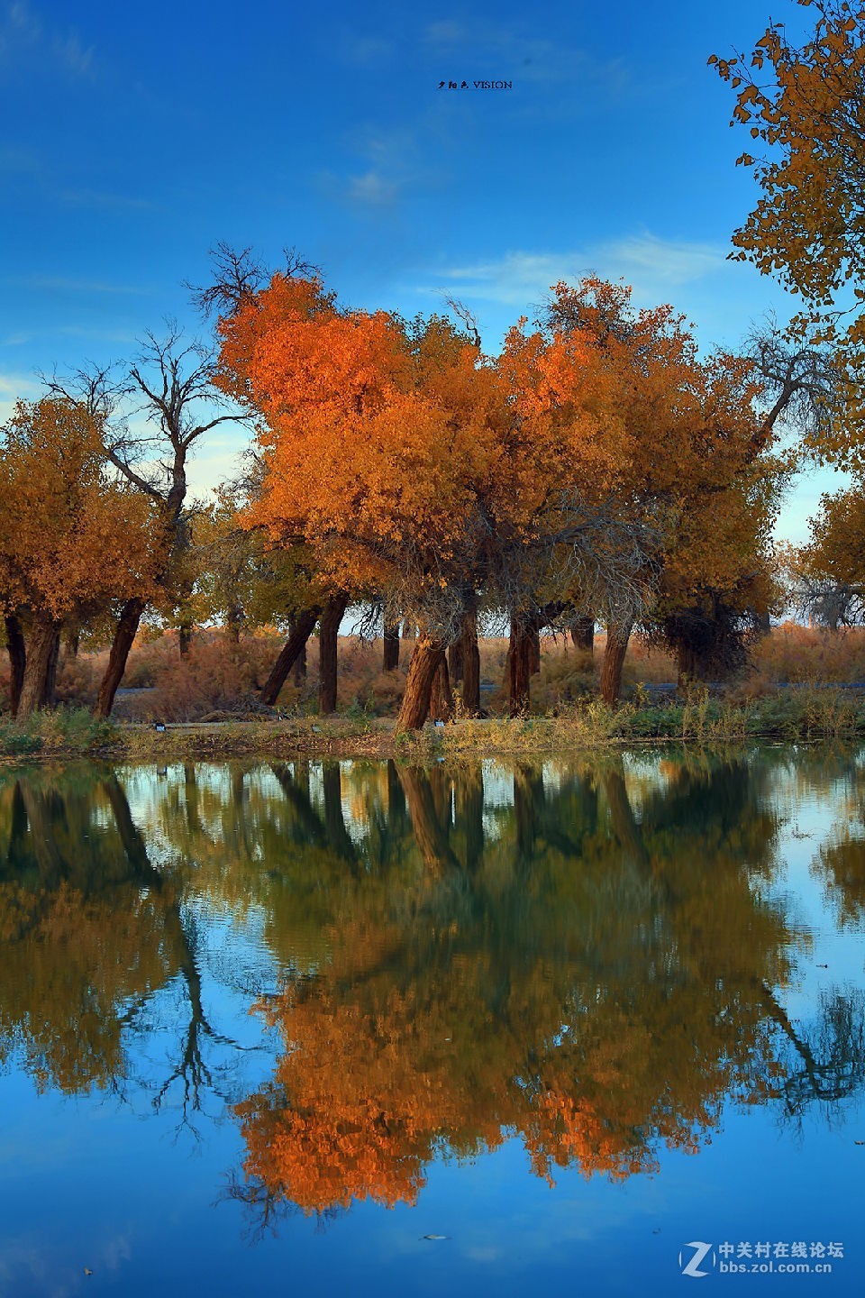 我的2018摄影告白