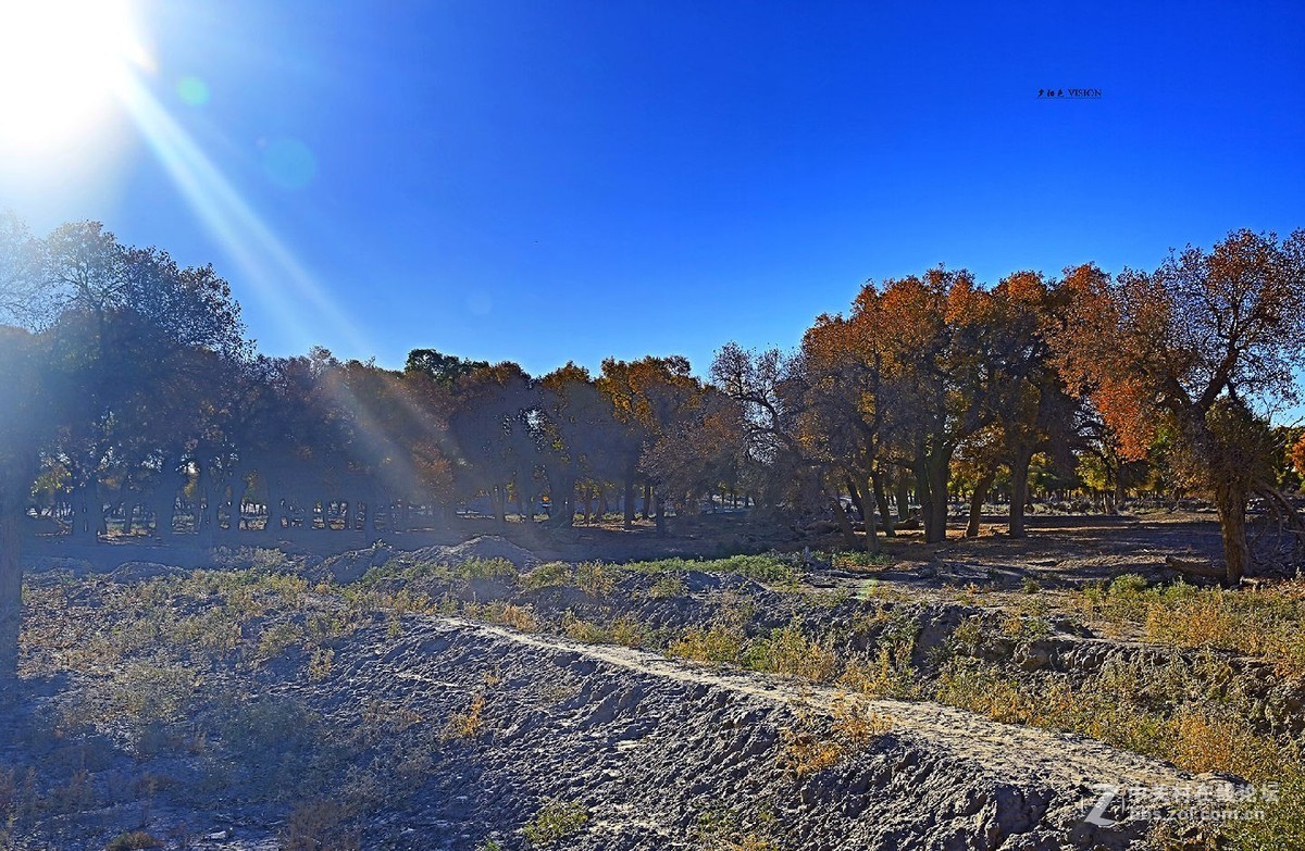 我的2018摄影告白