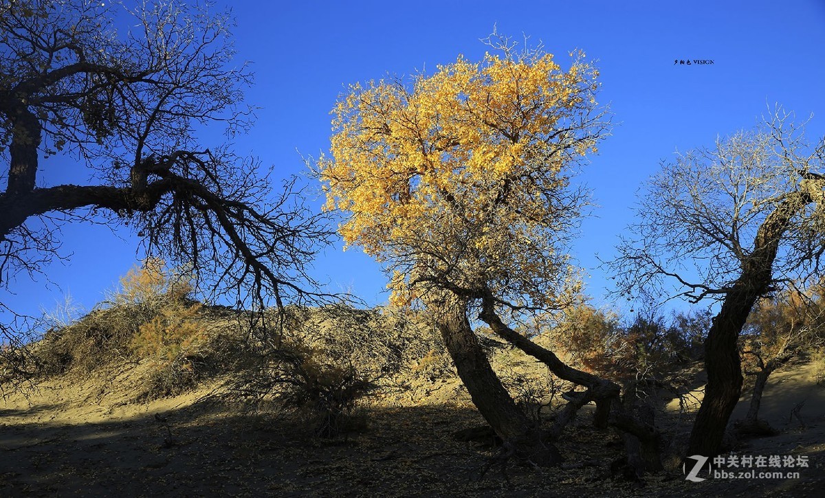 我的2018摄影告白