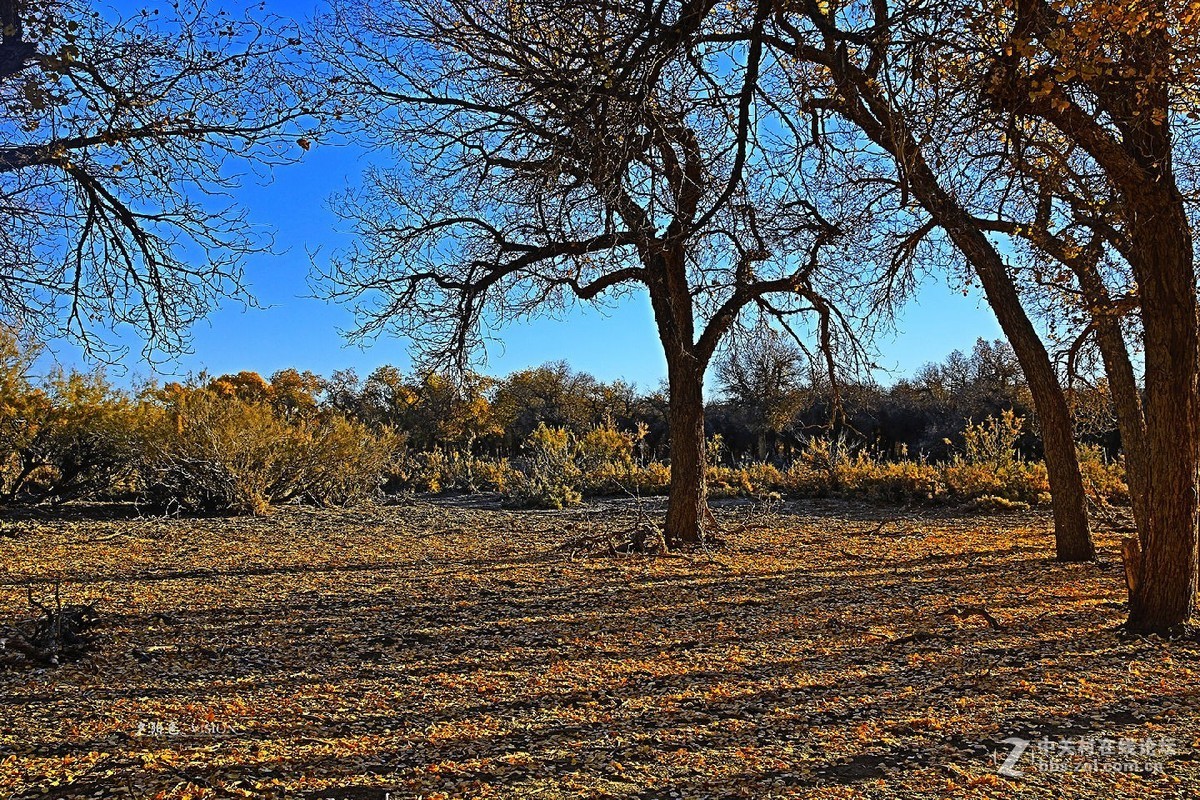 我的2018摄影告白