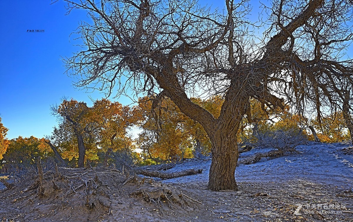 我的2018摄影告白