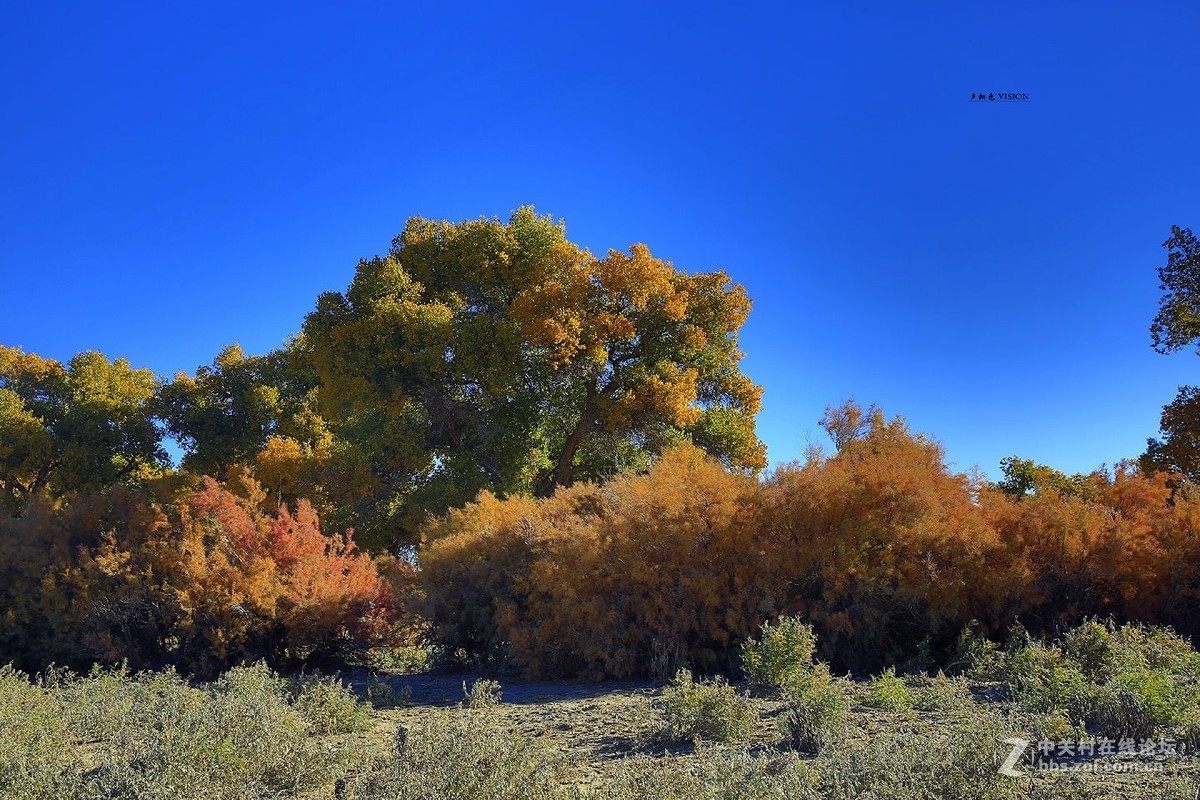 我的2018摄影告白