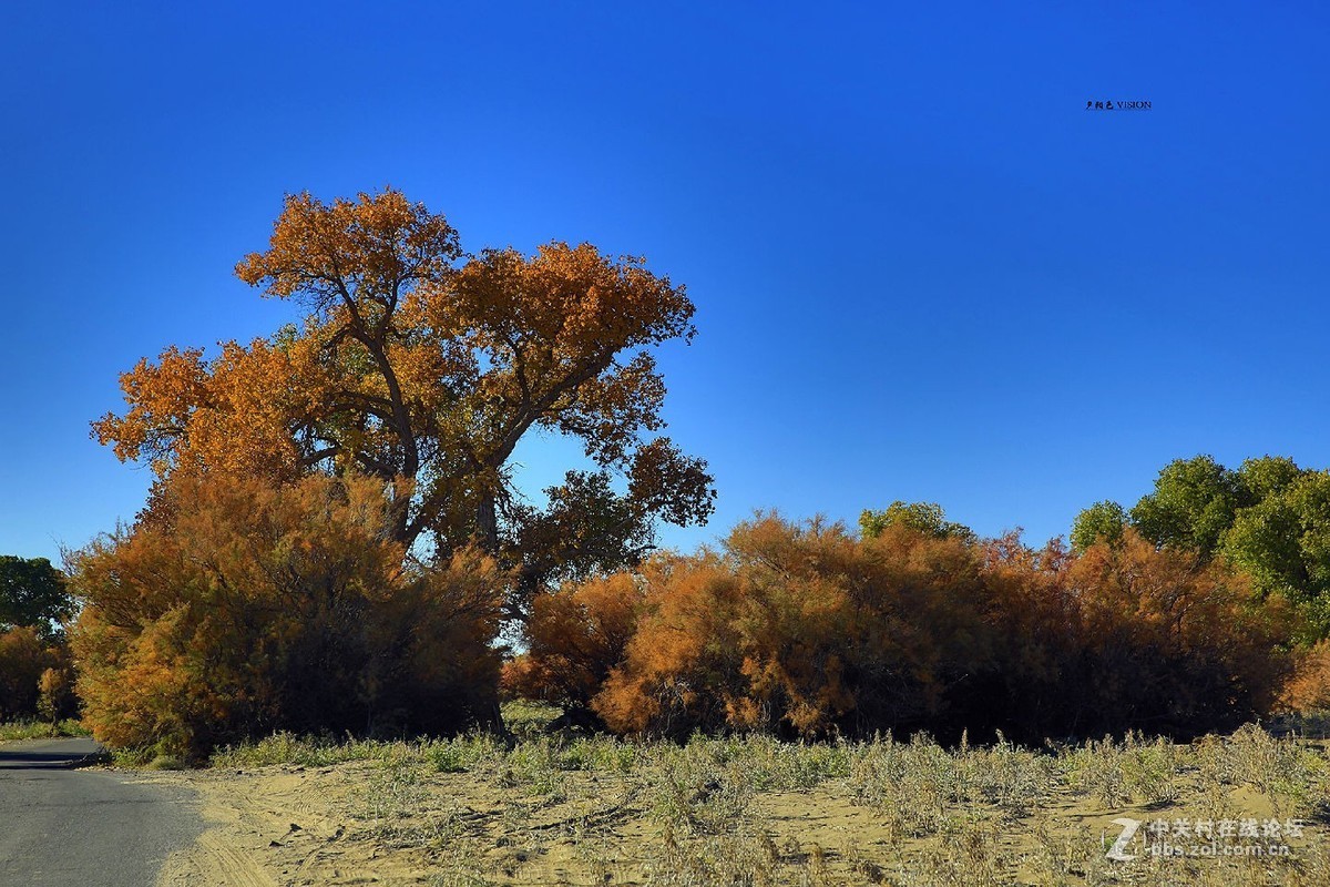我的2018摄影告白