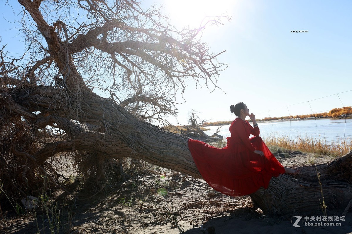 我的2018摄影告白