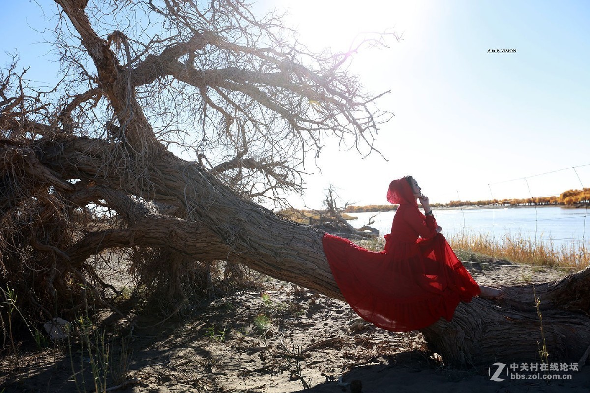 我的2018摄影告白