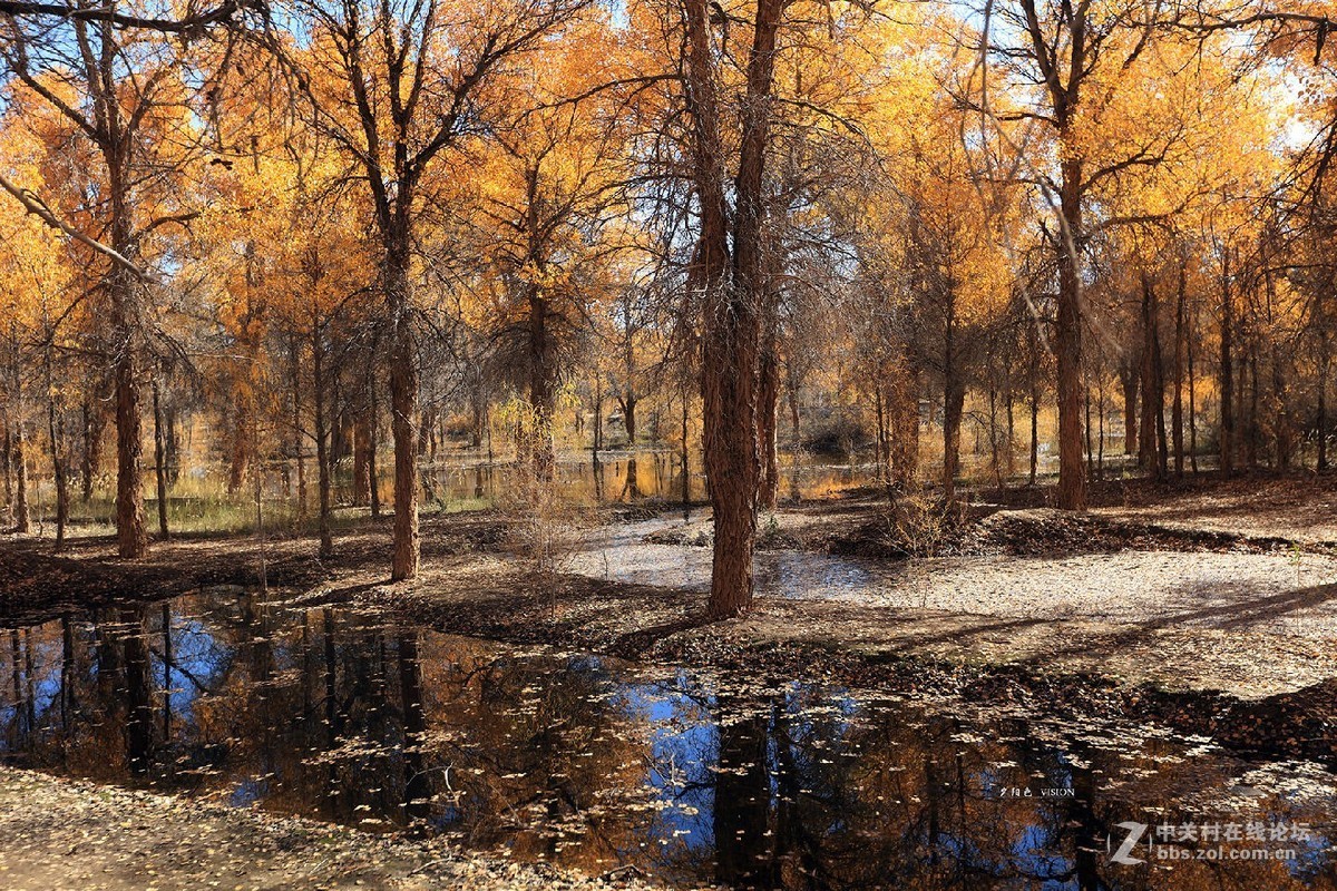 我的2018摄影告白