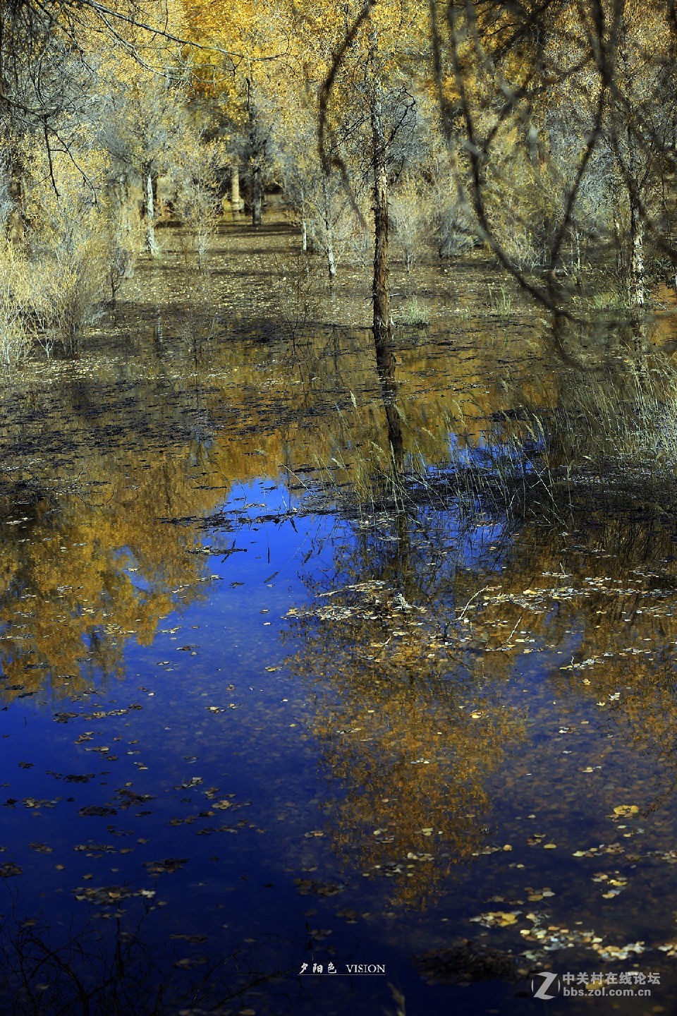我的2018摄影告白