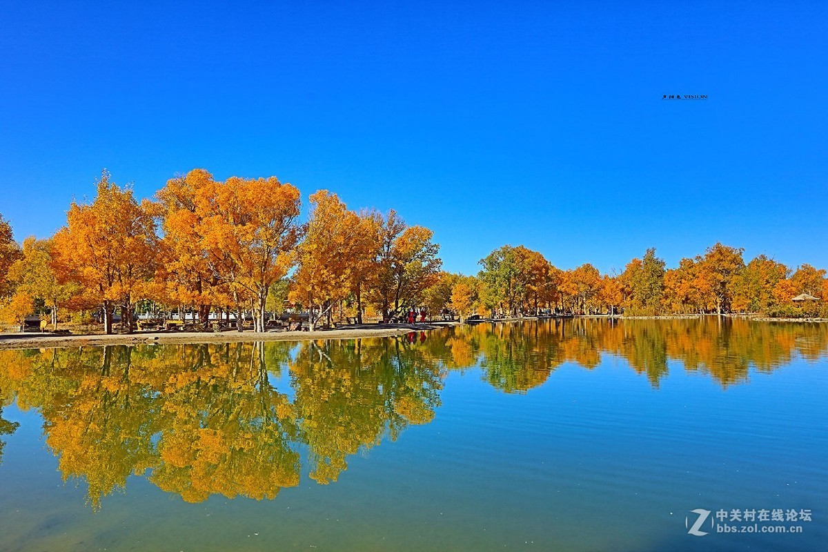 我的2018摄影告白