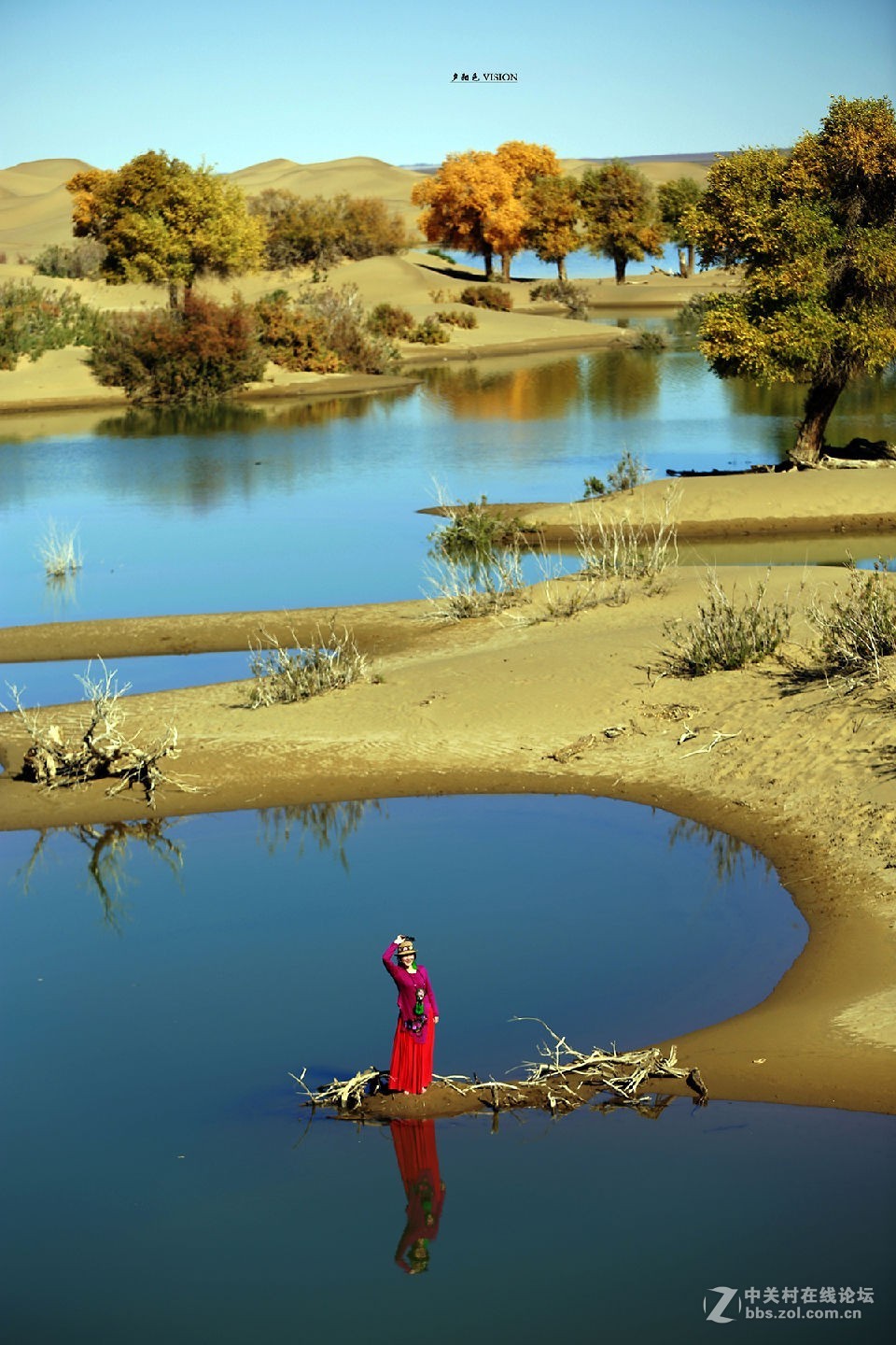 我的2018摄影告白