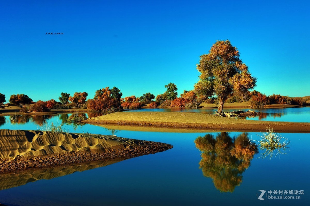 我的2018摄影告白