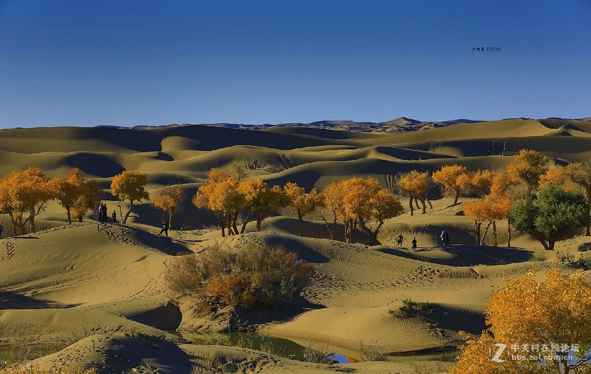 我的2018摄影告白