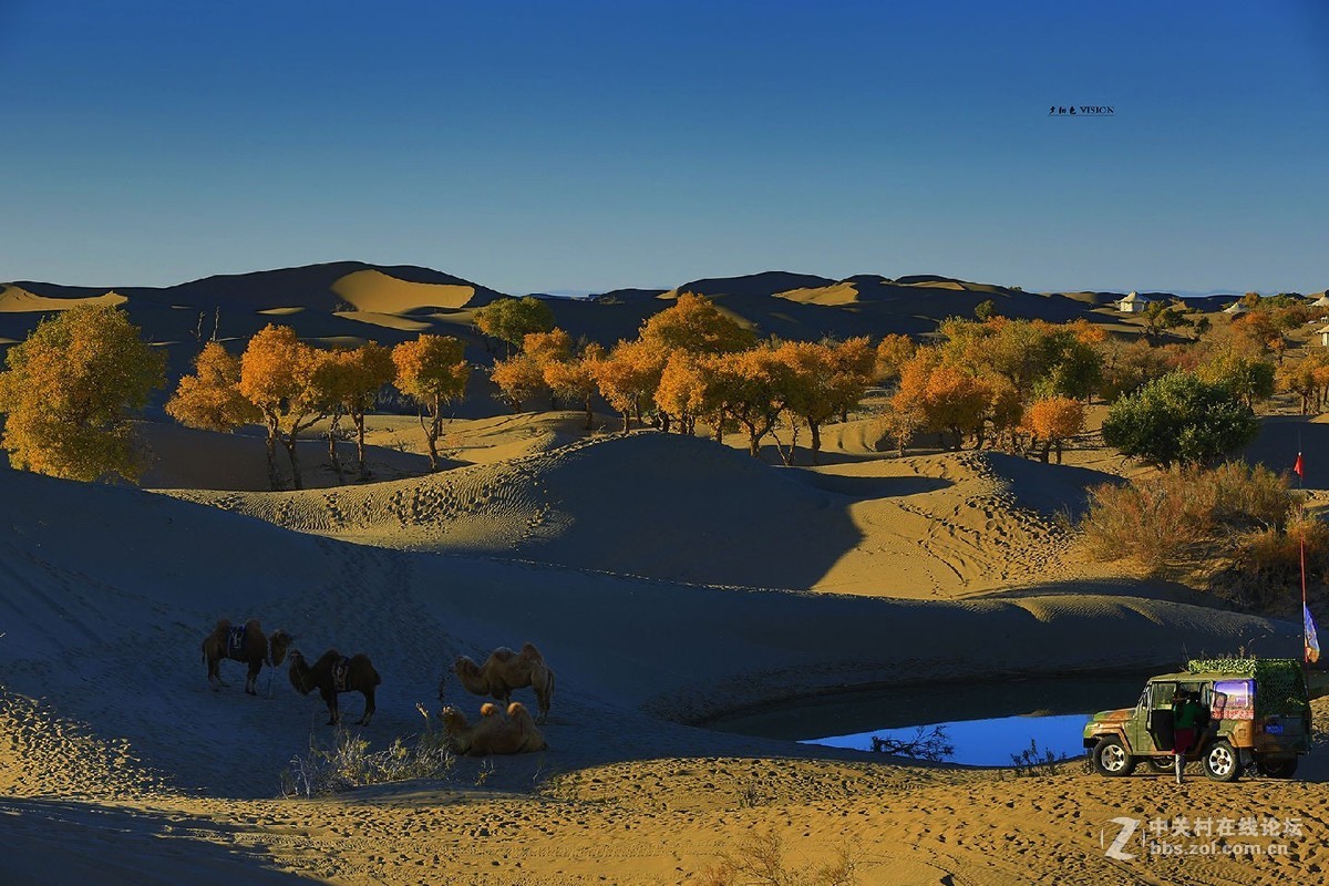 我的2018摄影告白