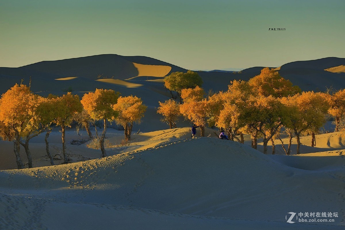 我的2018摄影告白