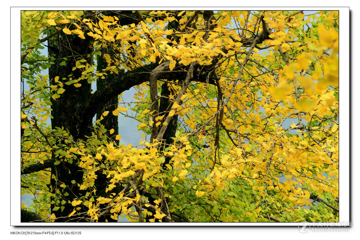 扫黄特别行动组。