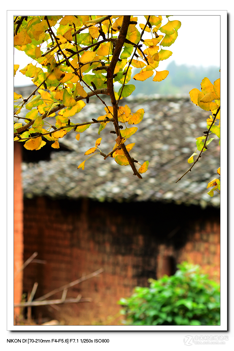 扫黄特别行动组。