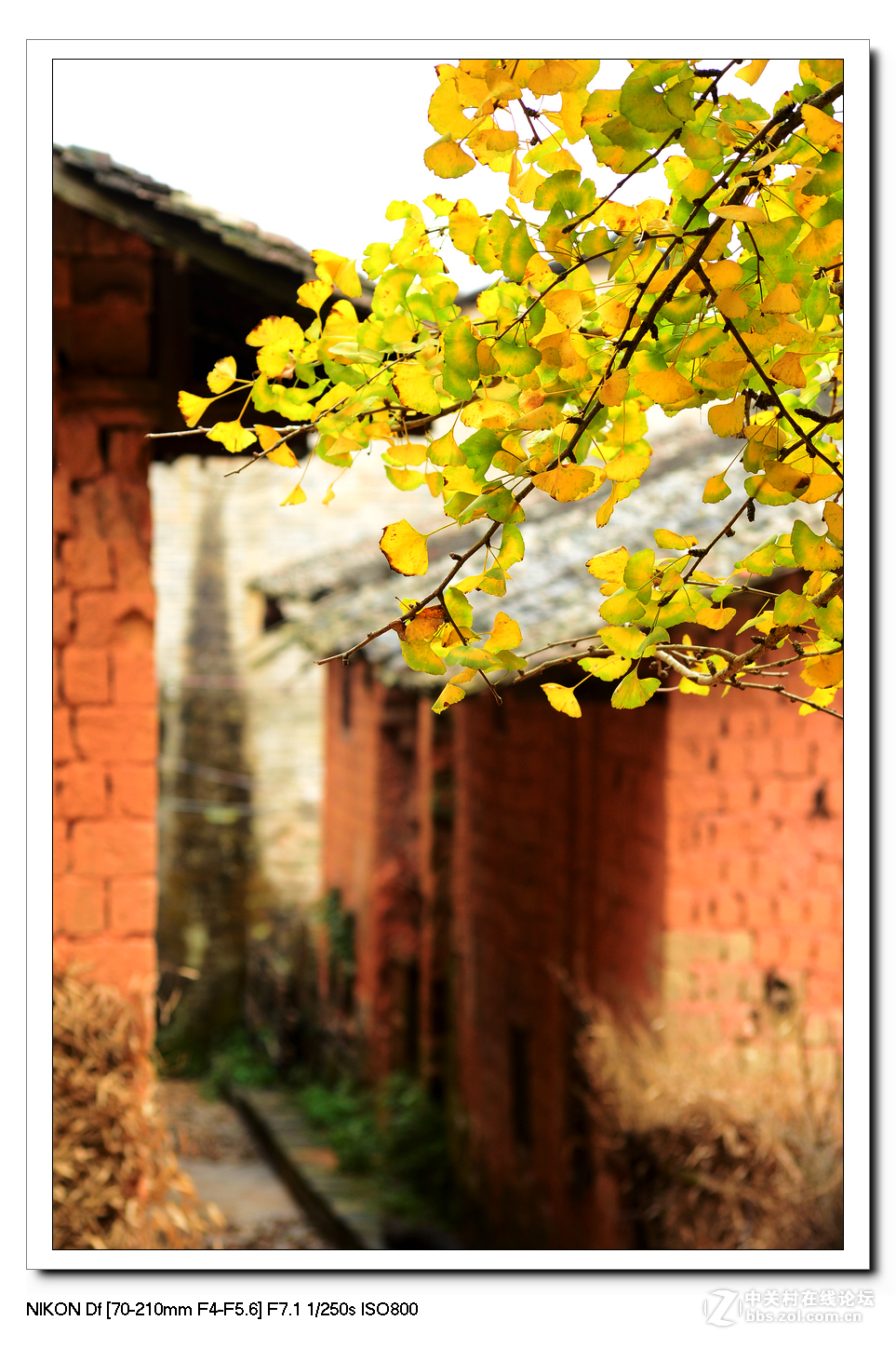 扫黄特别行动组。