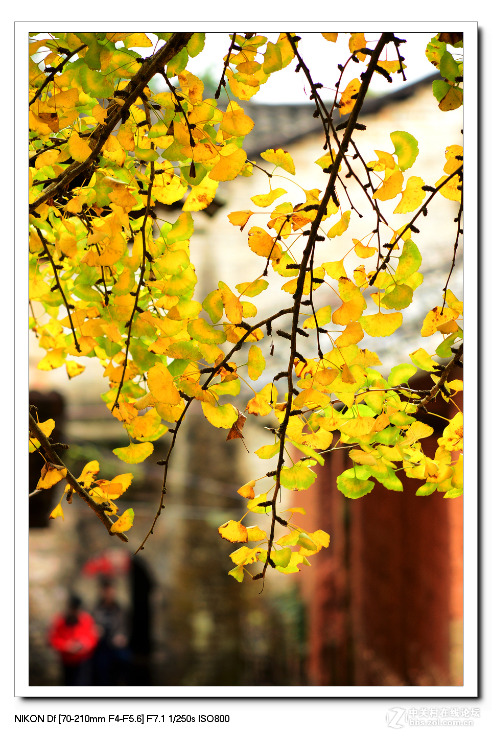 扫黄特别行动组。