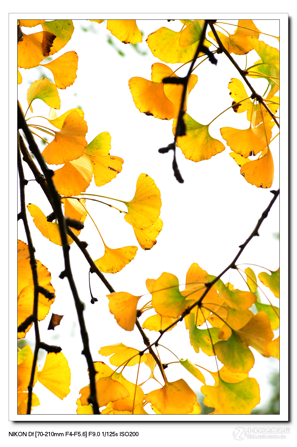 扫黄特别行动组。