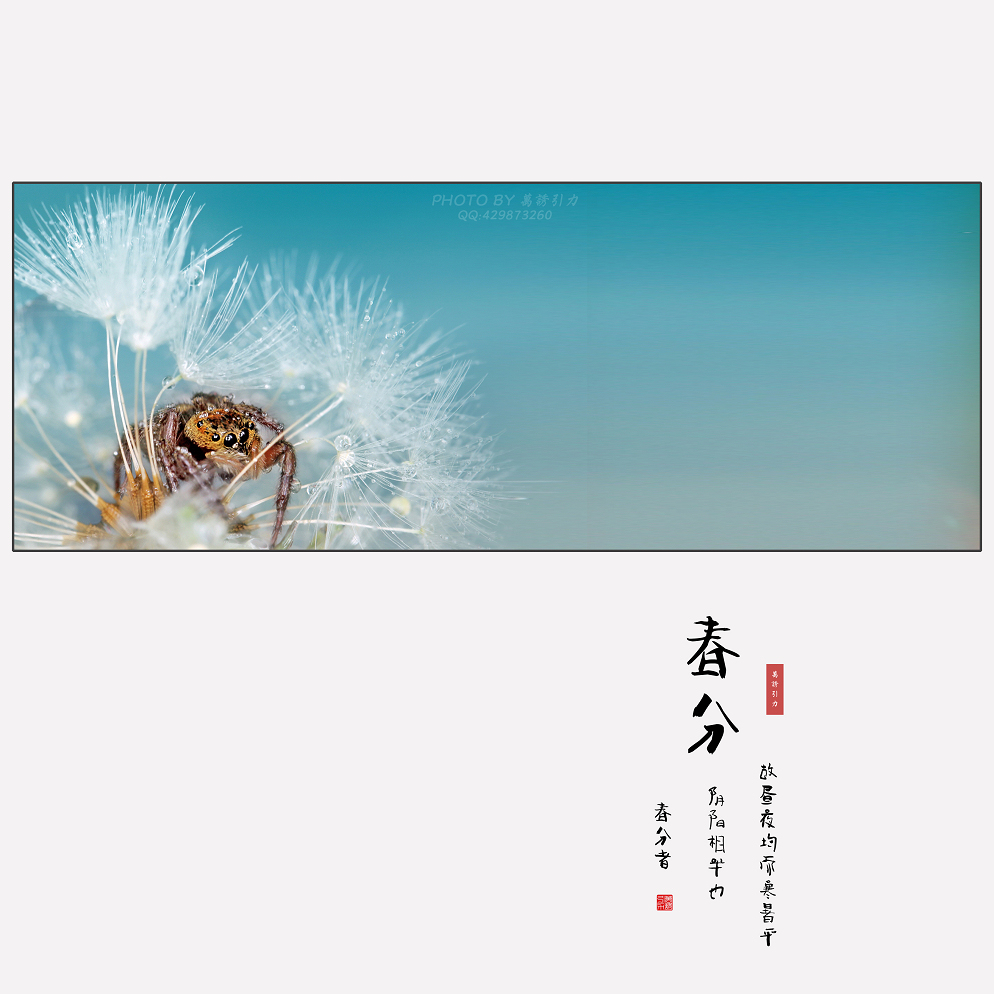 #ZOL月赛-微笑# 春分... ...