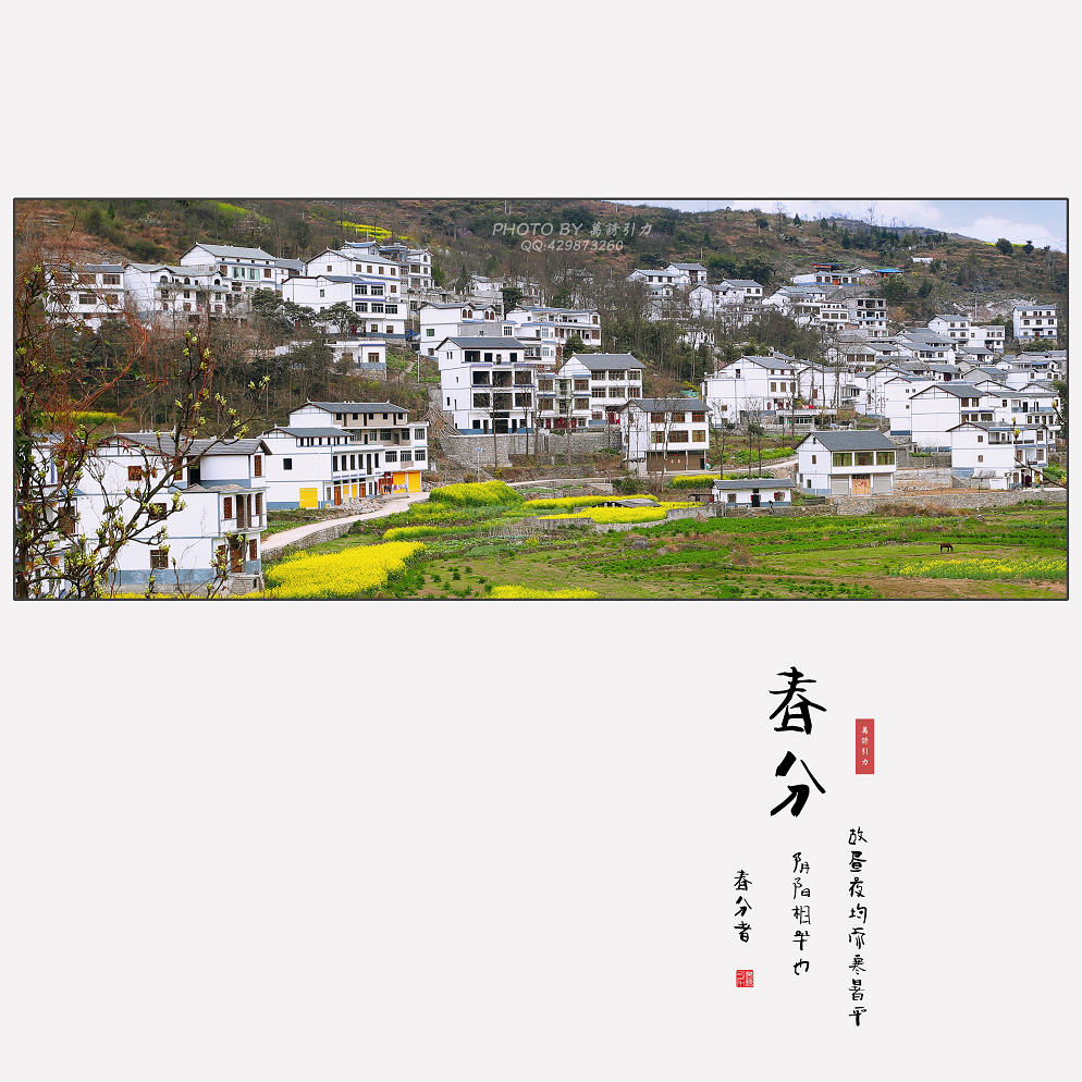 #ZOL月赛-微笑# 春分... ...