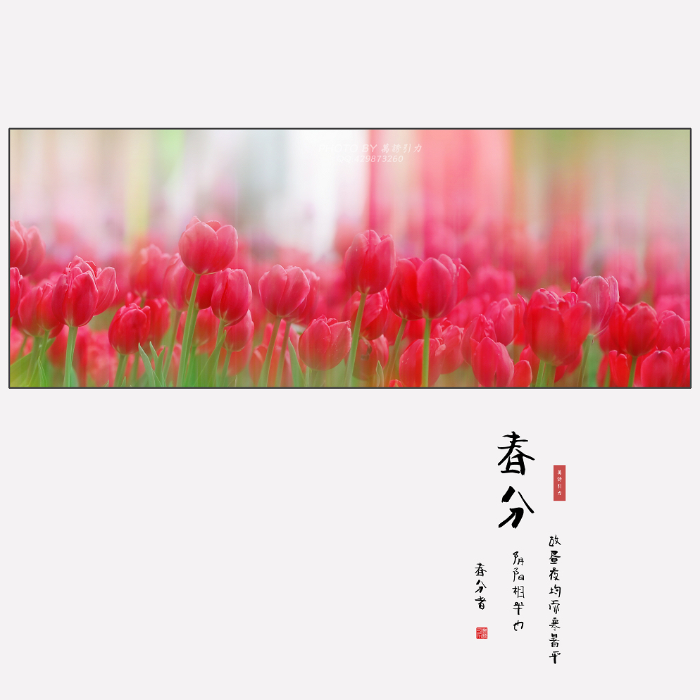 #ZOL月赛-微笑# 春分... ...