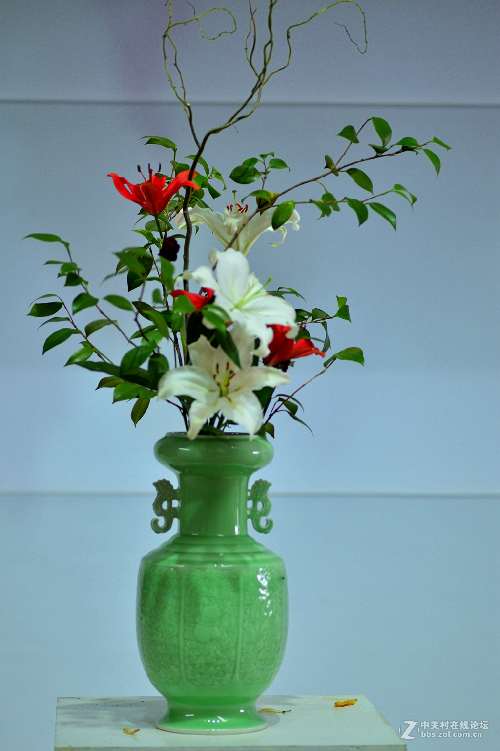 凌源首届百合节蔡司百微试镜，室内光线不够，手持拍摄，有损百微形象之嫌。