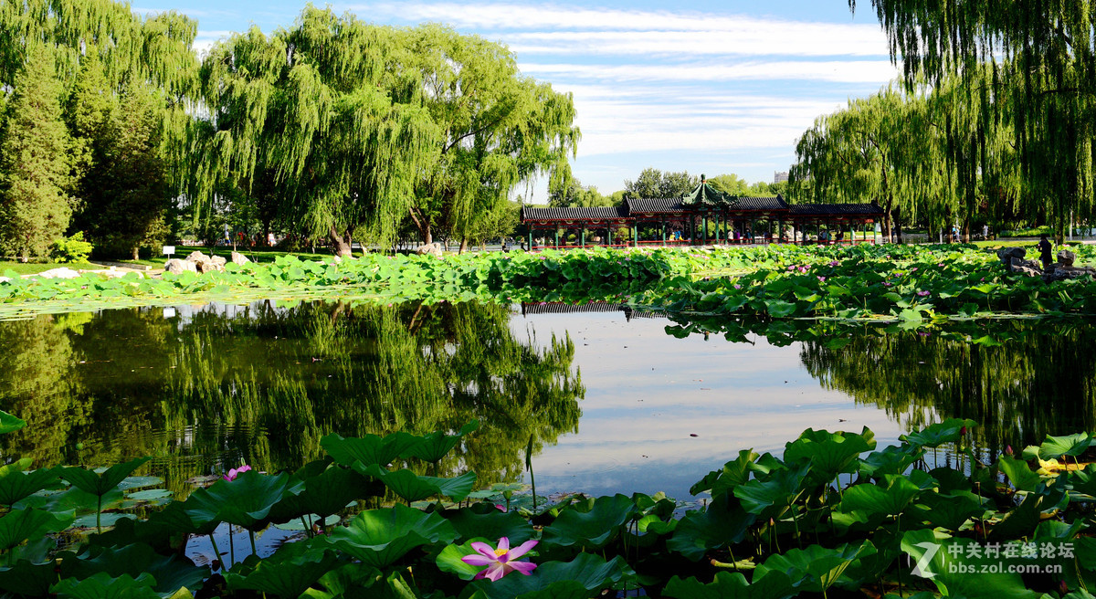 龙潭东湖