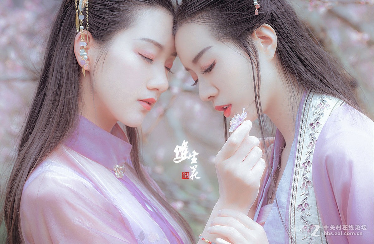 双生花-中关村在线摄影论坛