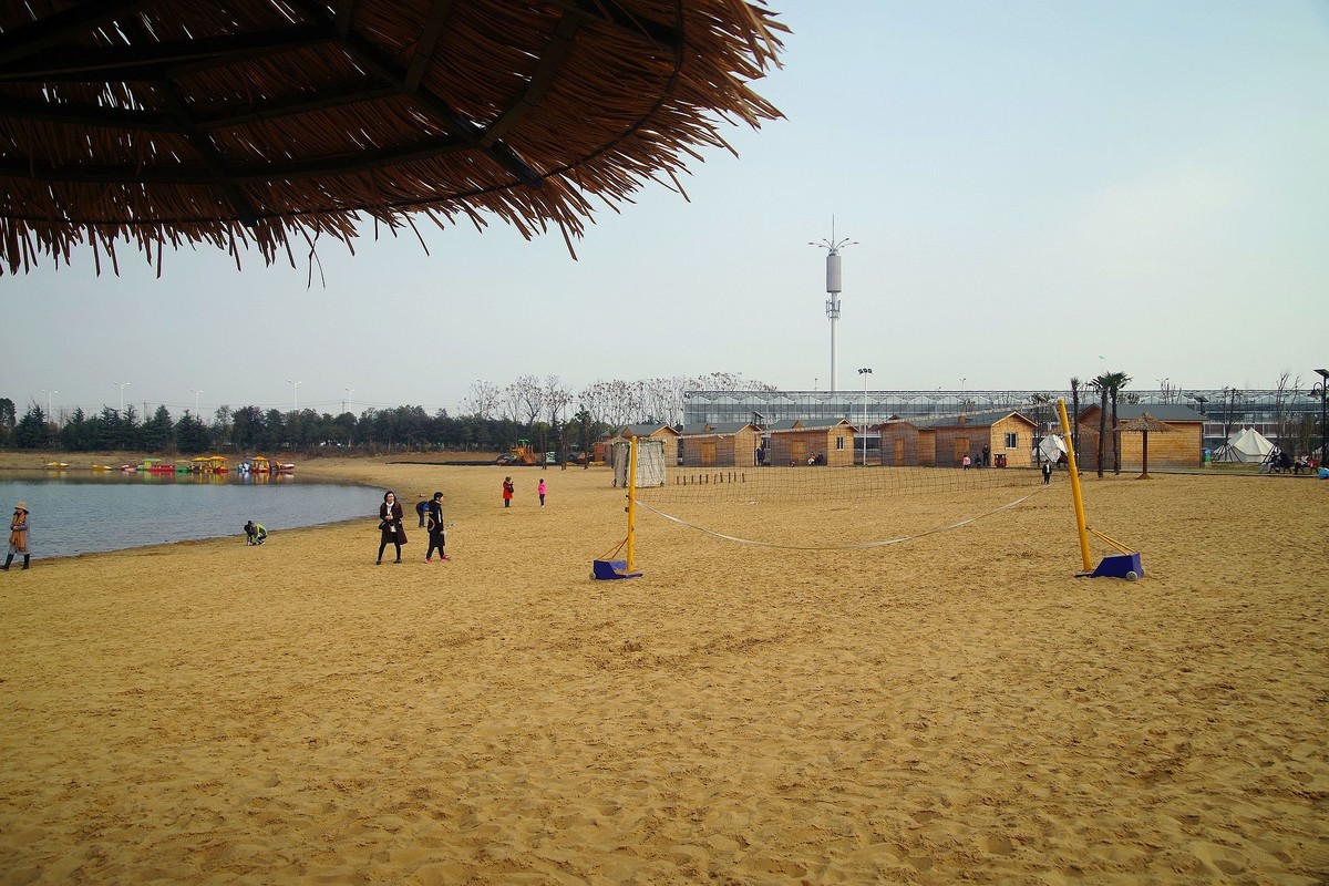 武汉印象---冬日的汉阳花博汇！。。。。。