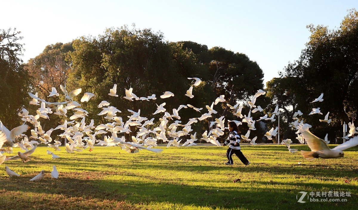 #佳能6D Mark II 记录感动# 成长的小确幸