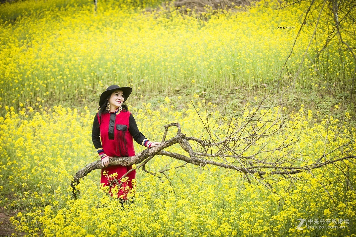 我的2018摄影告白