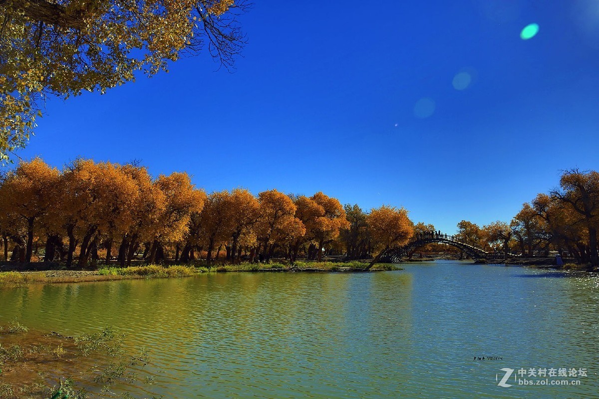 我的2018摄影告白