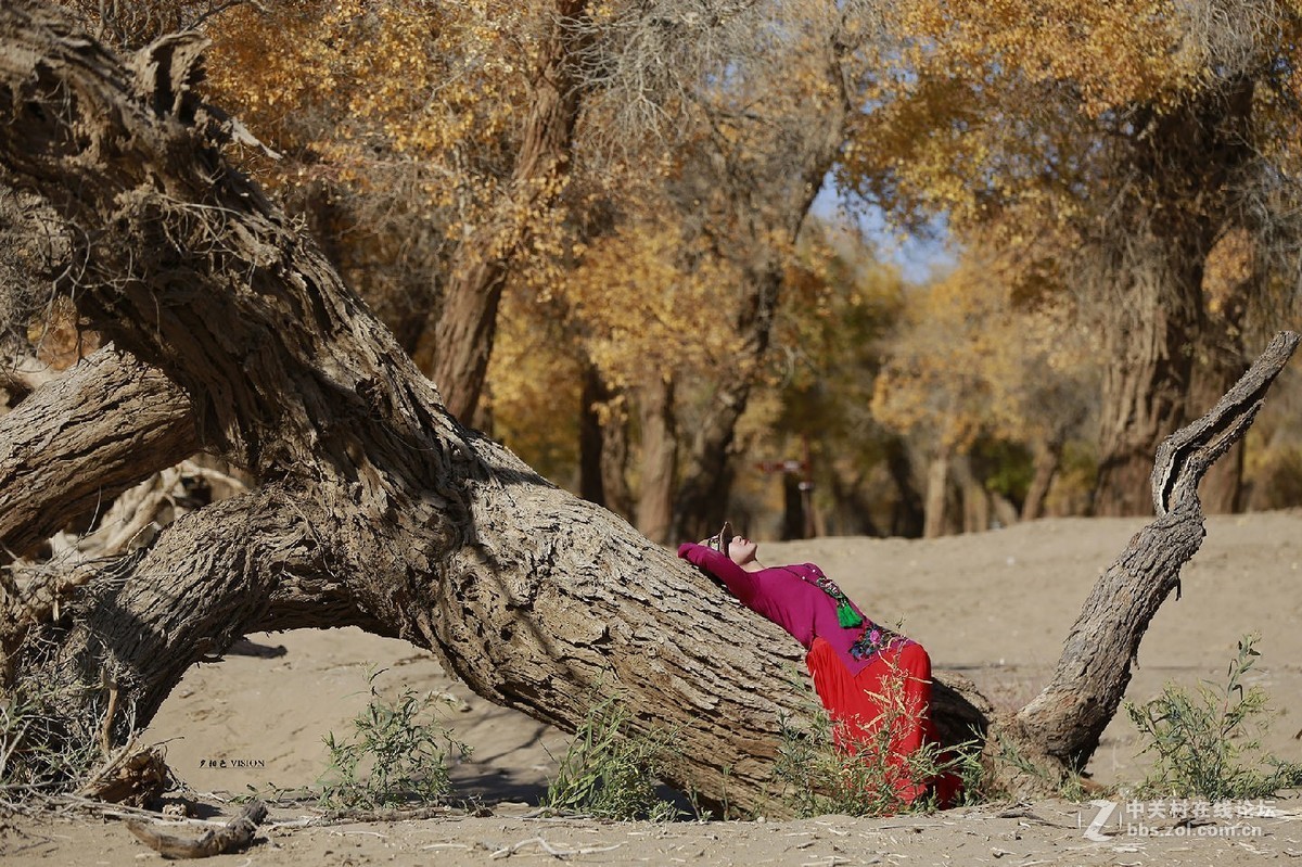 我的2018摄影告白