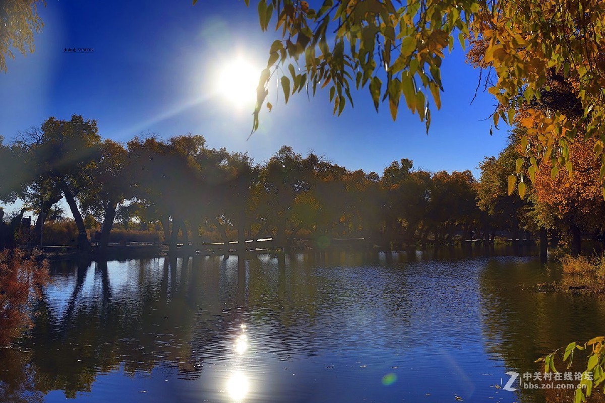 我的2018摄影告白